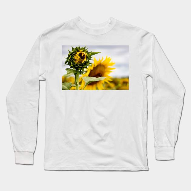 Sunflower Field Long Sleeve T-Shirt by Memories4you